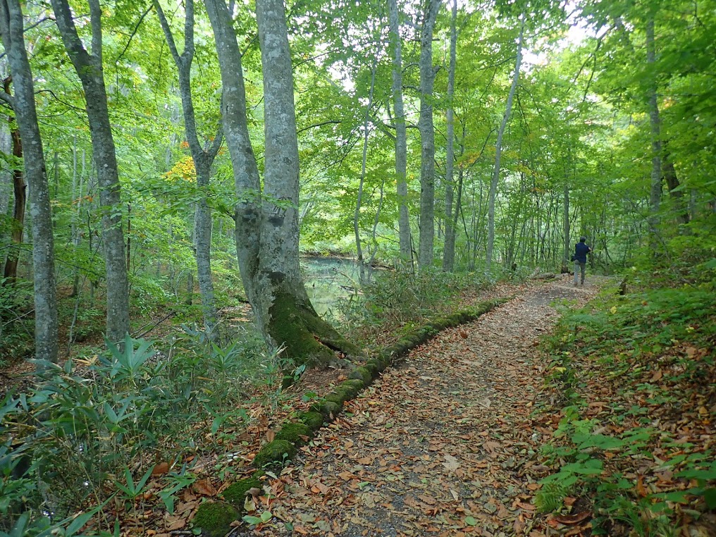 f:id:happydust:20191023011230j:plain f:id:happydust:20191023011230j:plain