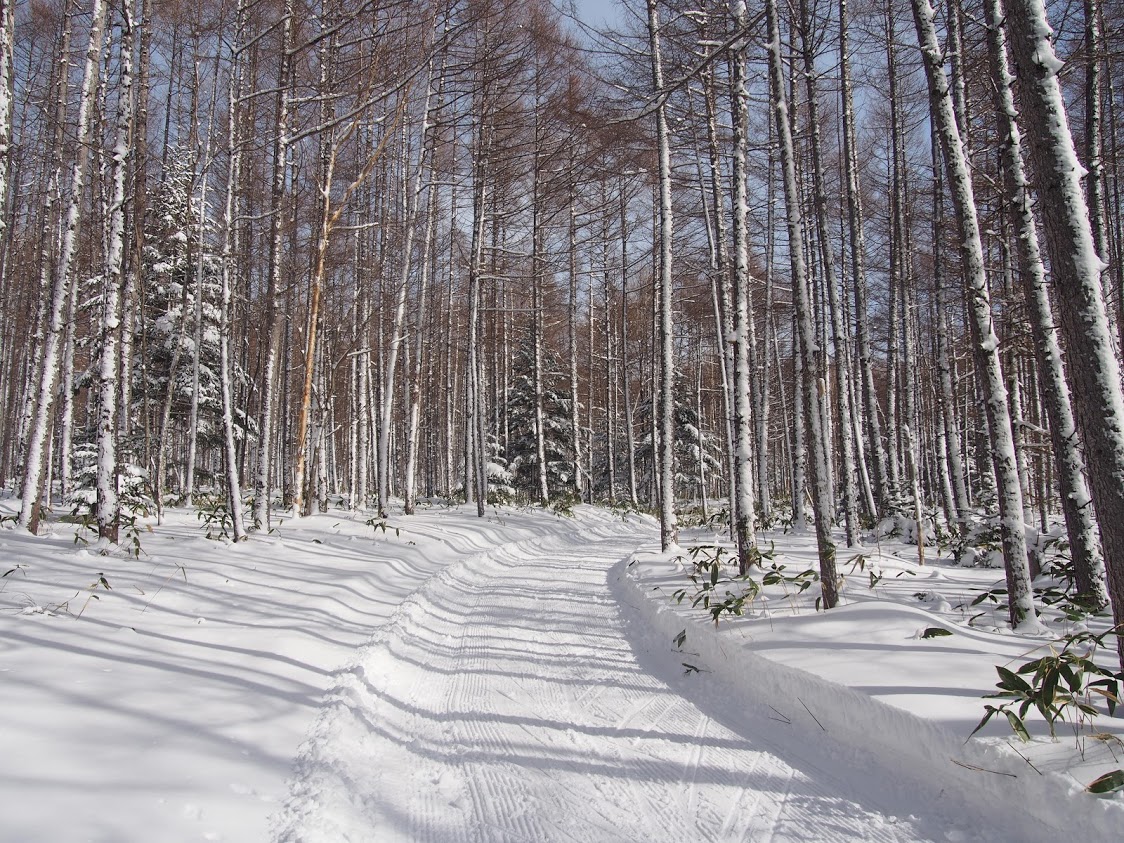 f:id:happydust:20191206010449j:plain