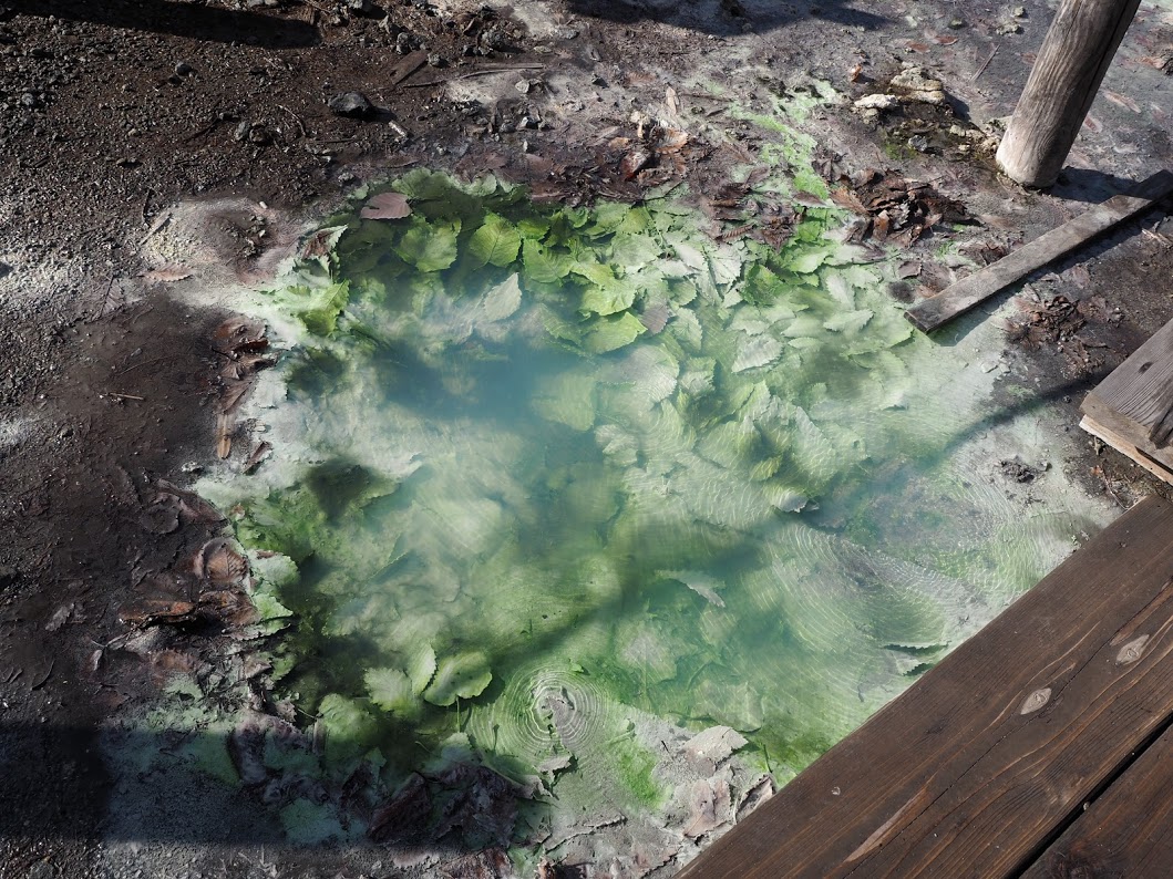 f:id:happydust:20191206030639j:plain