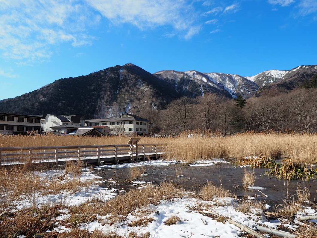 f:id:happydust:20191206030649j:plain