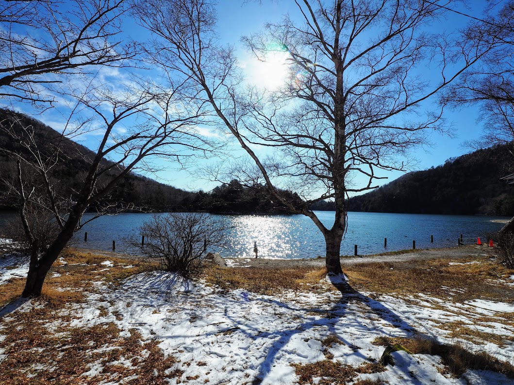 f:id:happydust:20191206121650j:plain