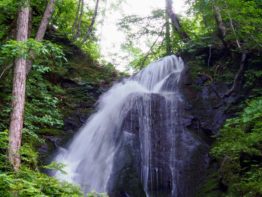 f:id:happydust:20200106144909j:plain f:id:happydust:20200106144909j:plain