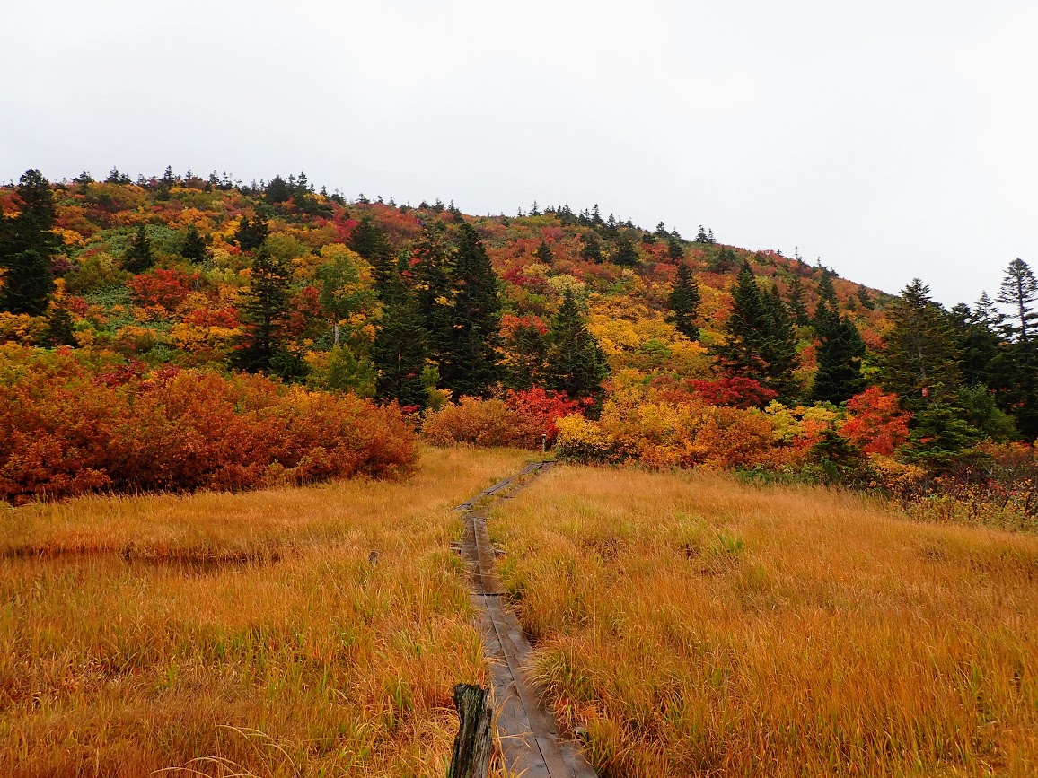 f:id:happydust:20200106222109j:plain f:id:happydust:20200106222109j:plain