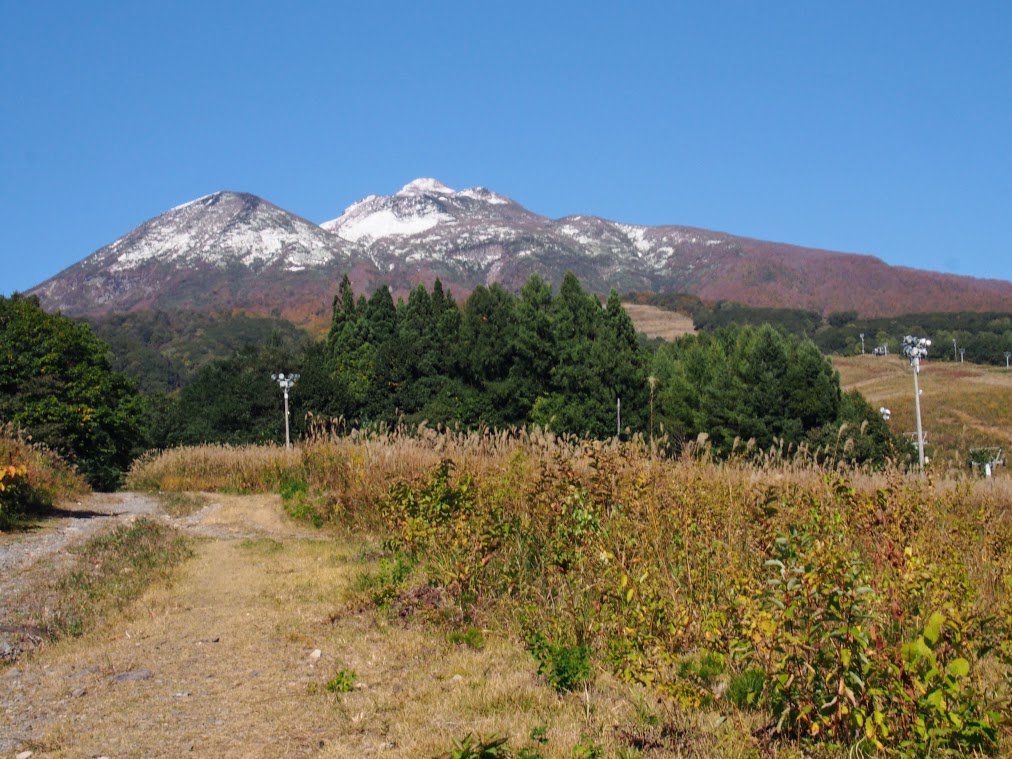 f:id:happydust:20200106225108j:plain f:id:happydust:20200106225108j:plain