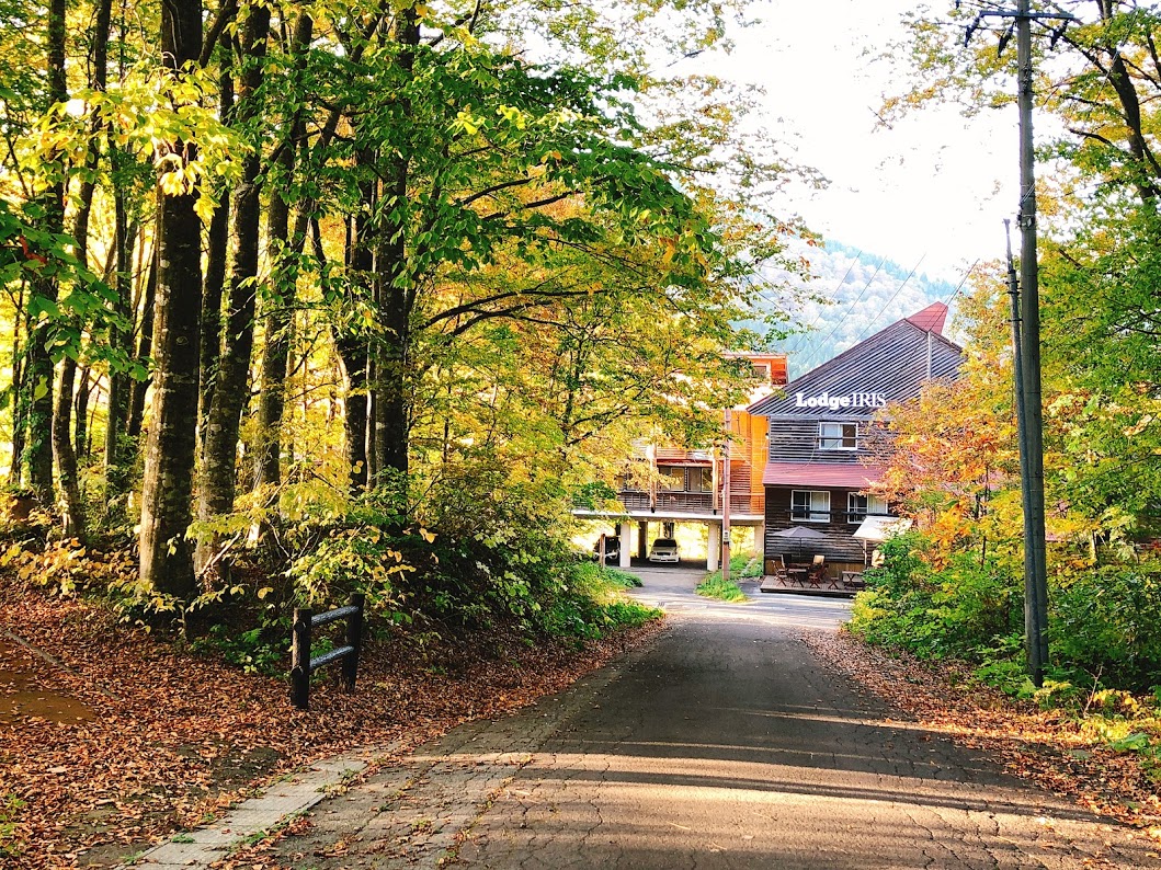 f:id:happydust:20200106232957j:plain f:id:happydust:20200106232957j:plain