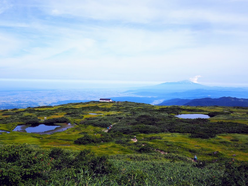 f:id:happydust:20200107102316j:plain f:id:happydust:20200107102316j:plain