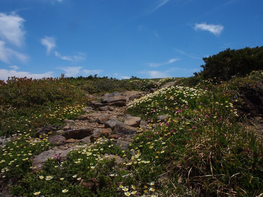 f:id:happydust:20200107110532j:plain f:id:happydust:20200107110532j:plain