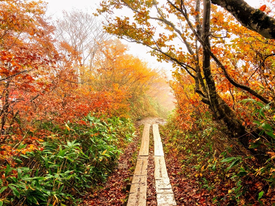 f:id:happydust:20200107121750j:plain f:id:happydust:20200107121750j:plain