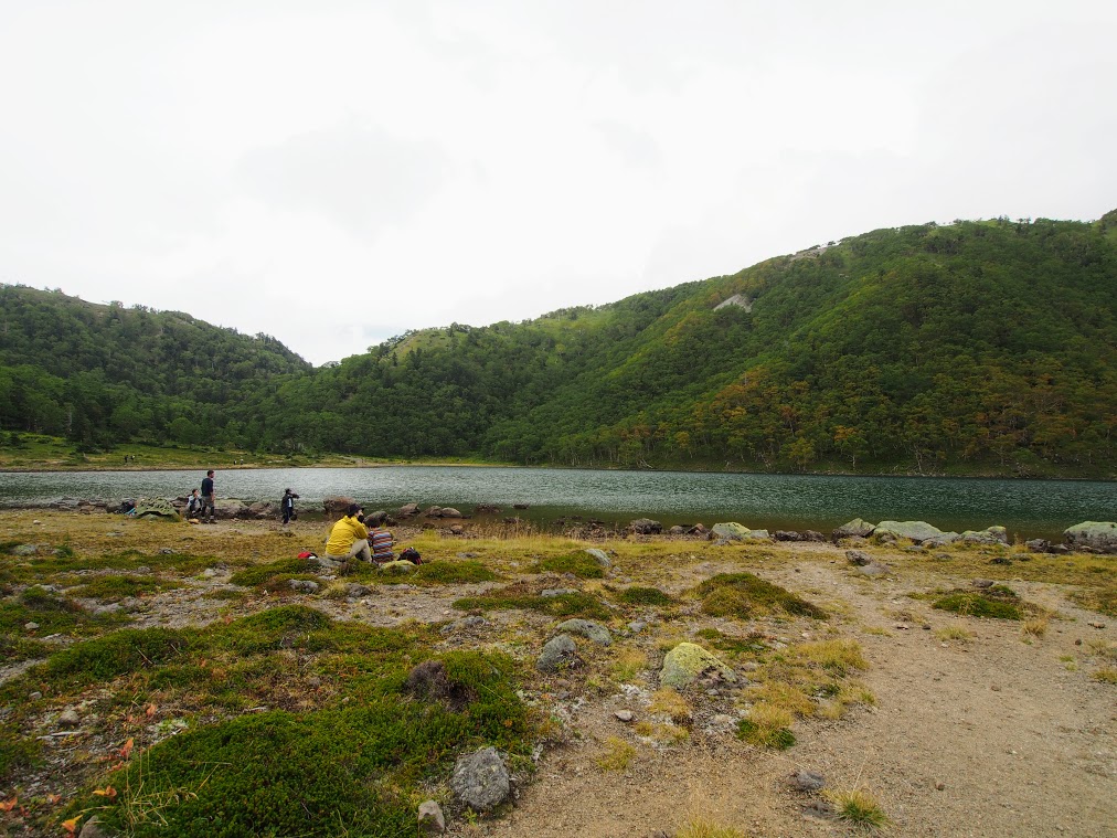 f:id:happydust:20200107225609j:plain f:id:happydust:20200107225609j:plain