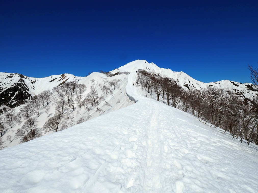 f:id:happydust:20200108010430j:plain f:id:happydust:20200108010430j:plain