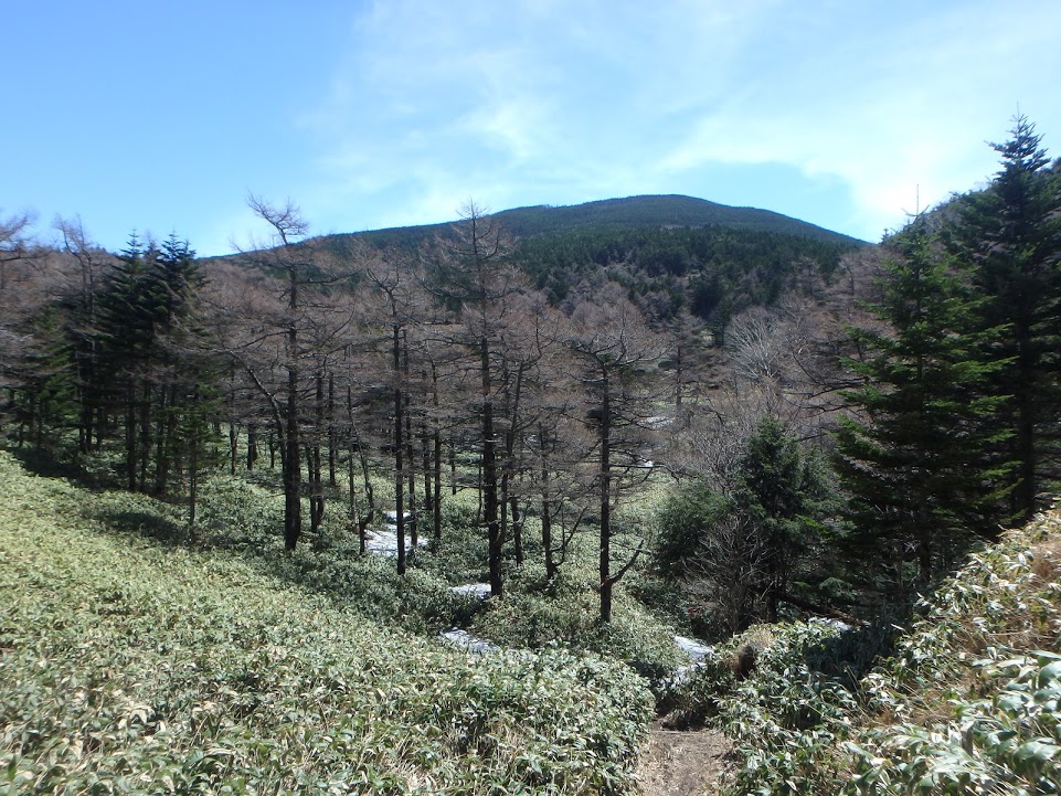 f:id:happydust:20200108232652j:plain f:id:happydust:20200108232652j:plain