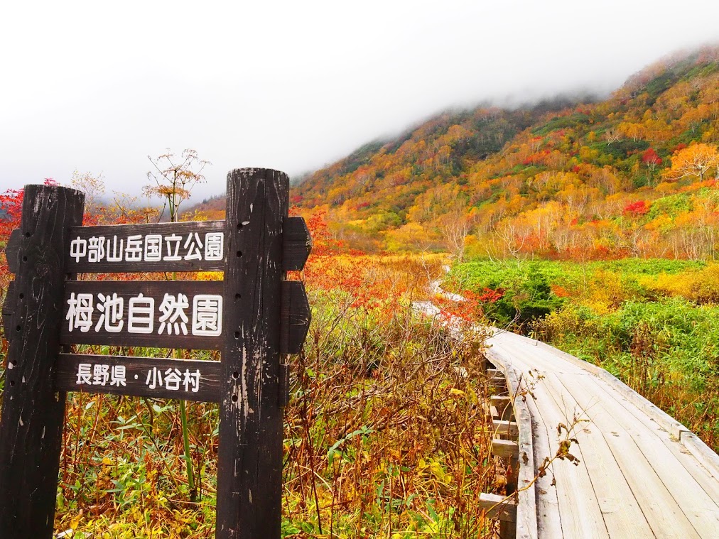 f:id:happydust:20200109020244j:plain f:id:happydust:20200109020244j:plain