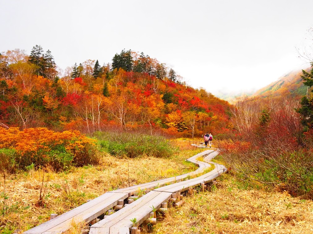 f:id:happydust:20200109020247j:plain f:id:happydust:20200109020247j:plain