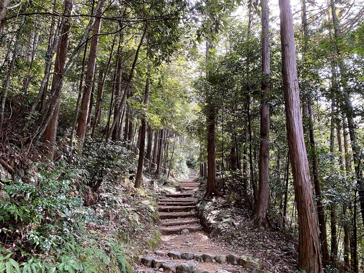 f:id:happydust:20210609040720j:plain