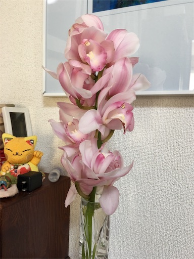 f:id:happyengel:20170101144033j:image f:id:happyengel:20170101144033j:image