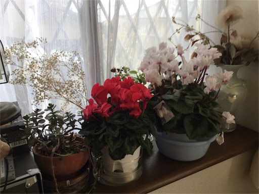 f:id:happyengel:20170122102434j:image