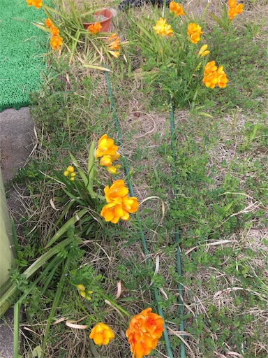 f:id:happyengel:20170427122316j:image