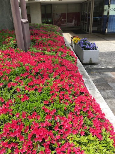 f:id:happyengel:20170427170256j:image