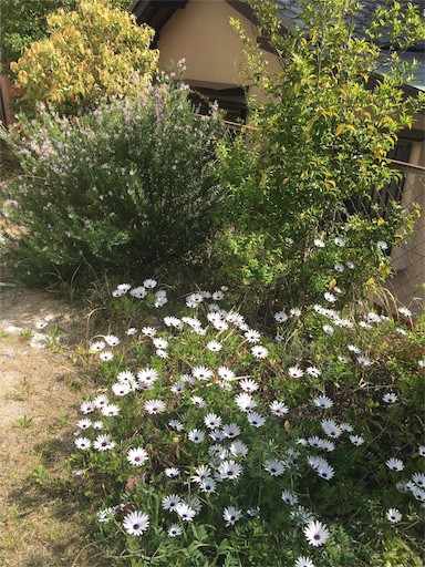 f:id:happyengel:20170503101742j:image