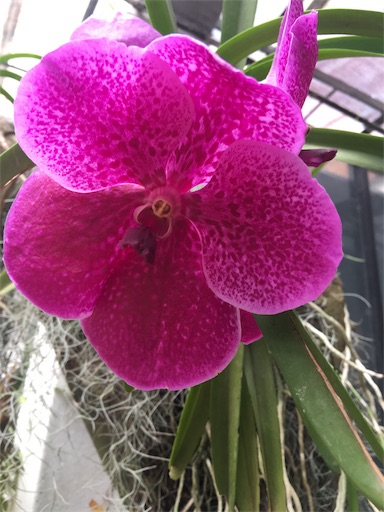 f:id:happyengel:20180208225005j:image