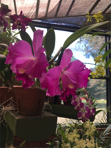 f:id:happyengel:20180208225051j:image