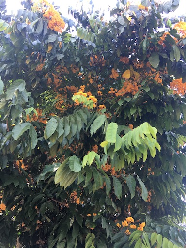 f:id:happyengel:20180208225325j:image