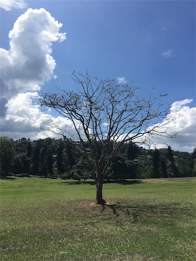 f:id:happyengel:20180217163128j:image f:id:happyengel:20180217163128j:image