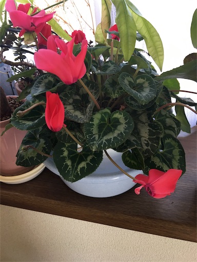 f:id:happyengel:20180306132601j:image f:id:happyengel:20180306132601j:image