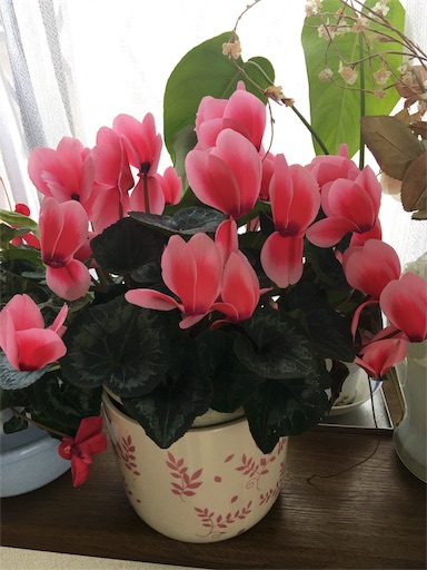 f:id:happyengel:20180315131216j:image f:id:happyengel:20180315131216j:image