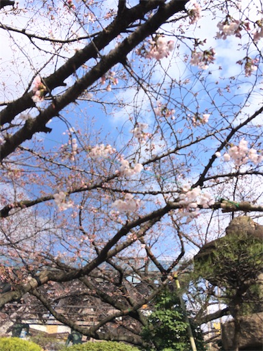 f:id:happyengel:20180327092413j:image