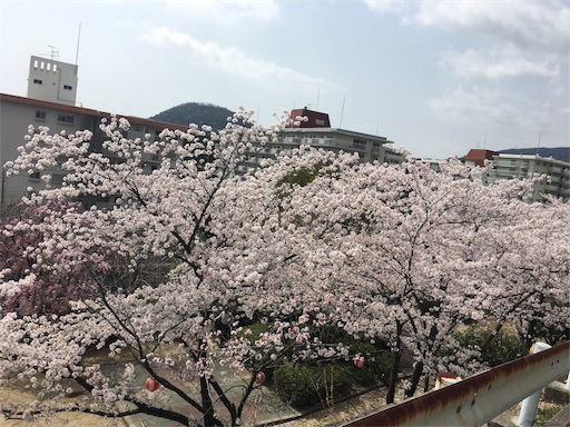 f:id:happyengel:20180401114401j:image