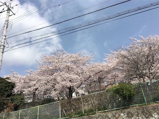 f:id:happyengel:20180401114416j:image