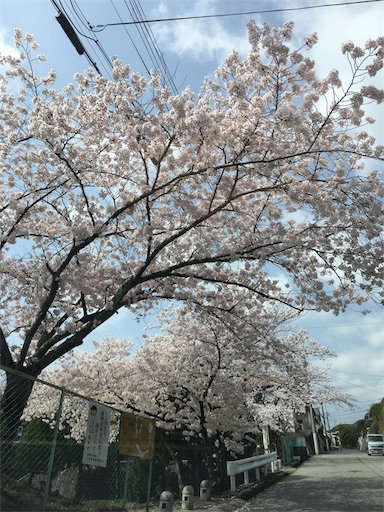 f:id:happyengel:20180401114520j:image