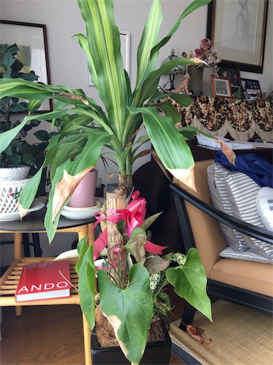 f:id:happyengel:20180504115803j:image