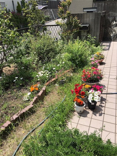 f:id:happyengel:20180504115859j:image