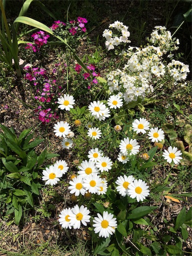f:id:happyengel:20180504115930j:image