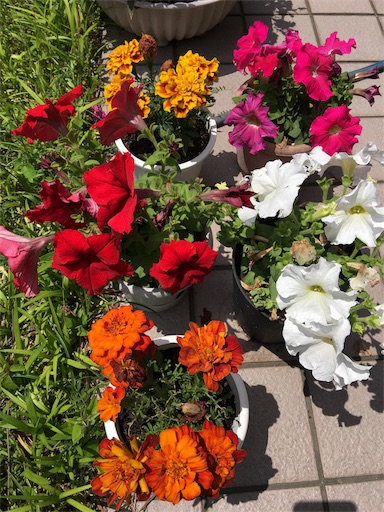 f:id:happyengel:20180504115949j:image