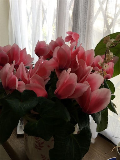 f:id:happyengel:20180504120400j:image