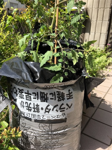 f:id:happyengel:20180515091023j:image