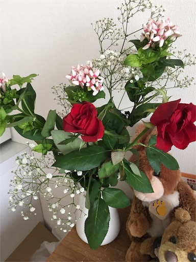 f:id:happyengel:20180831163643j:image f:id:happyengel:20180831163643j:image