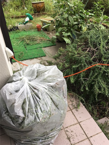 f:id:happyengel:20180901161824j:image
