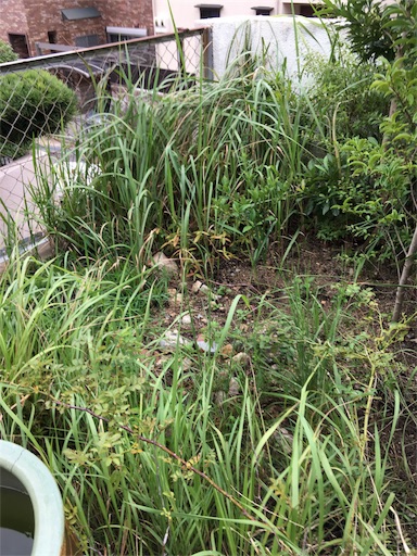 f:id:happyengel:20180901161918j:image