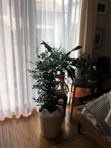 f:id:happyengel:20180912124141j:image