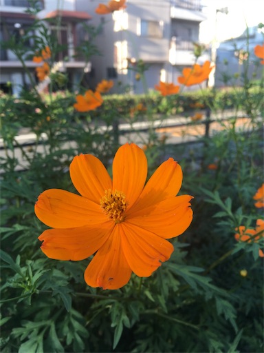 f:id:happyengel:20181001142502j:image f:id:happyengel:20181001142502j:image