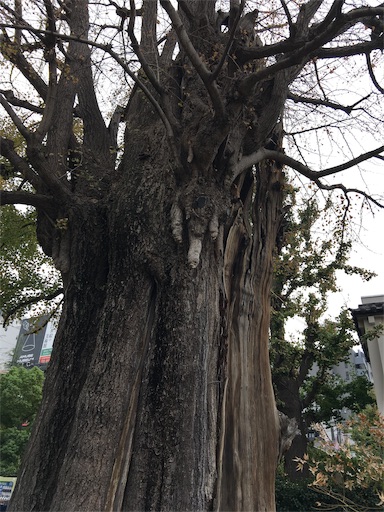 f:id:happyengel:20181013120134j:image