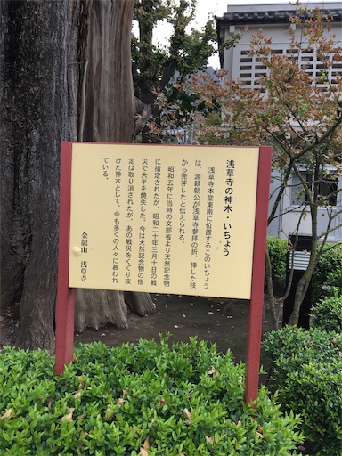 f:id:happyengel:20181013120346j:image