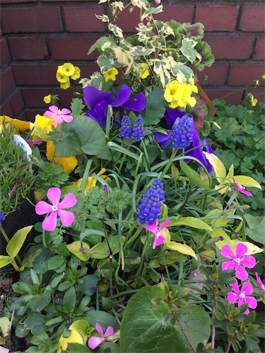 f:id:happyengel:20190422161124j:image f:id:happyengel:20190422161124j:image
