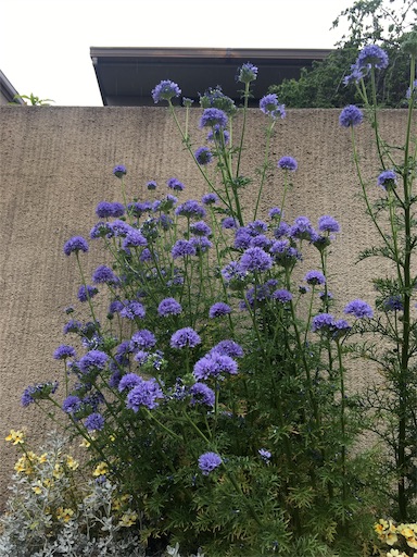 f:id:happyengel:20190427165506j:image f:id:happyengel:20190427165506j:image