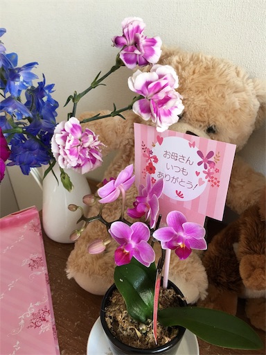 f:id:happyengel:20190512161907j:image