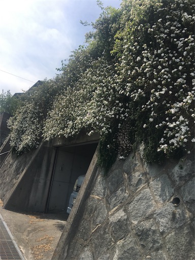 f:id:happyengel:20190515132826j:image